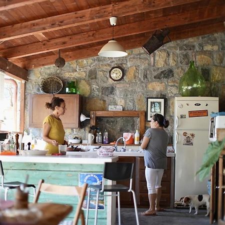 B&B Casa Dei Nonni Scario Εξωτερικό φωτογραφία